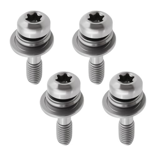 Replacement adapter screws - 4,